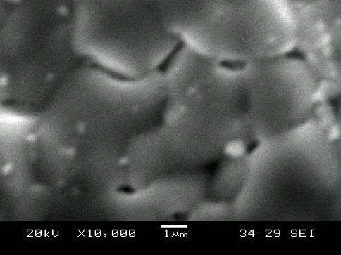 95 ceramics sintered from powder