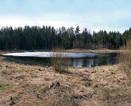 Bevardis ežeras Ežerėlių geomorfologiniame draustinyje Verkių regioniniame parke 2002 m. 2008 m. 2016 m. vanduo dirvožemyje keliauja horizontalia kryptimi tol, kol įsilieja į ežerą.