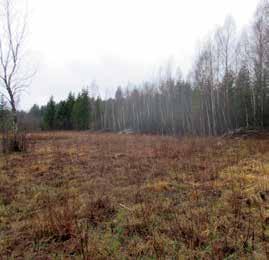 Artimiausiu metu yra numatyta pradėti vykdyti dalies miškų buveinių tvarkymo darbus pagal gamtotvarkos plane pateiktas rekomendacijas.