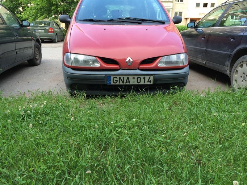 valstybinių numerių. 12 pav.