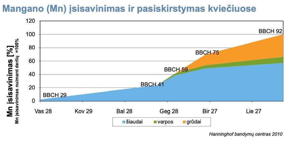 Misija Vizija Ir Vertybės Pdf Nemokamas Atsisiuntimas