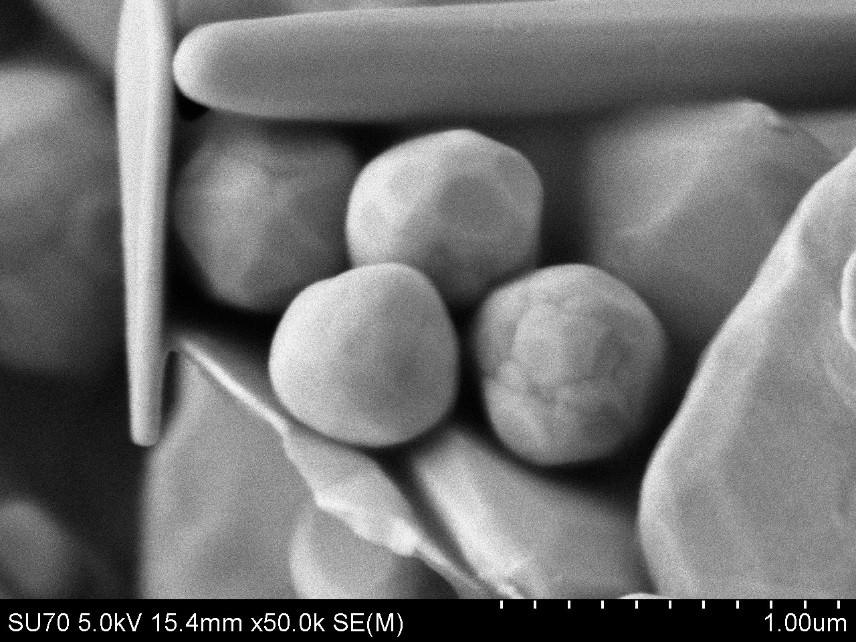 SEM nuotraukos parodo, kad Au yra sudarytas iš skirtingos formos ir dydžio (0,2-3 m) kristalitų.