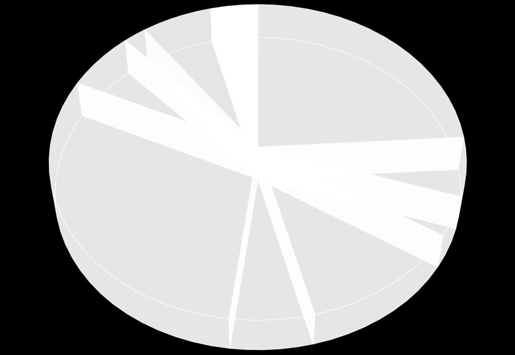 MVA NARIAI PAGAL VEIKLOS KRYPTIS Horeca (viešbučiai, restoranai)(1 narys) 2% Reklama ir ryšiai su visuomene (3 nariai) 6% Logistika (2 nariai) 4% Draudimas (3 nariai) 6%