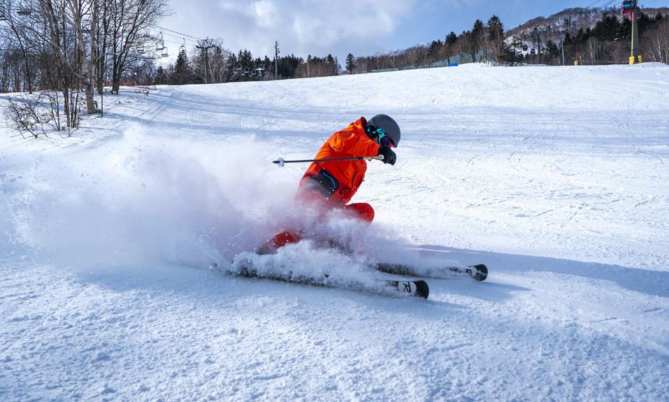 Sports & Activités ** Sports d hiver Ecole de Ski Alpin Ecole de Snowboard Cours collectifs Accès libre Cours à la carte Age Min.