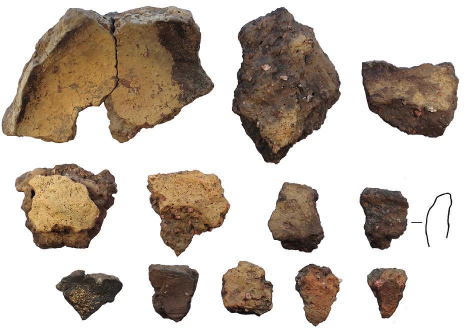 0 5 cm 8 pav. Šurfas 7. Atidengta perdegusių ir neperdegusių akmenų struktūra iš Š. Ž. Montvydo nuotr. Fig. 8. Test pit 7. The unearthed burnt and unburnt stone structure, as seen from the N.