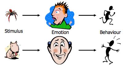 Emocijos yra žmogaus santykio su vidinio bei išorinio pasaulio objektais išgyvenimas. Nuo to, kokias žmogus emocijas išgyvena (teigiamas ar neigiamas) priklauso jo aktyvumas, nuotaika.