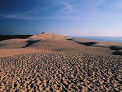 Kitose šalyse jūra ir vėjas suplakė smėlį į kopas.