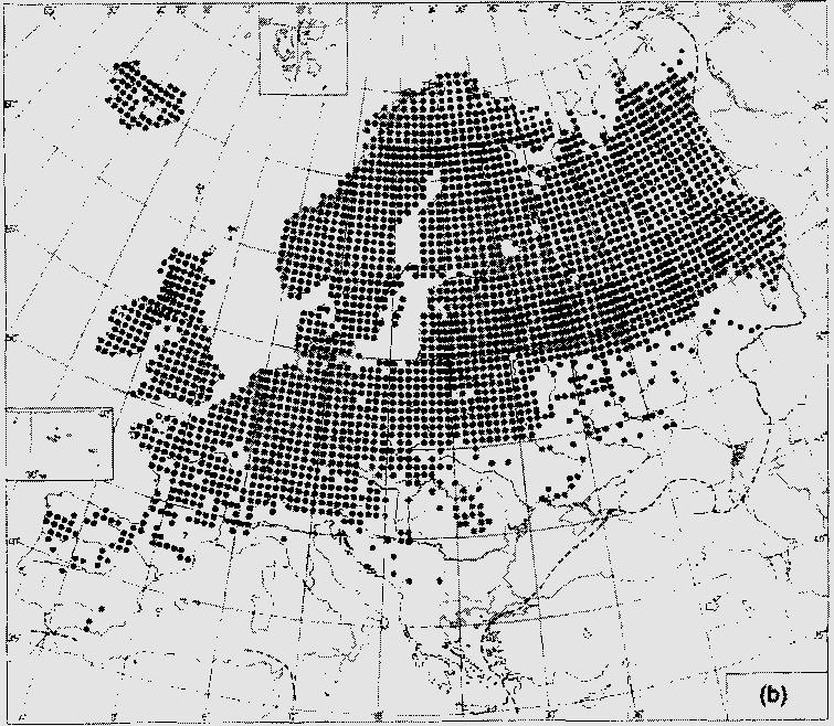 6 pav. Plaukuotojo beržo paplitimas Europoje Iš pateiktų paveikslėlių matome, kad karpotojo ir plaukuotojo beržo paplitimo arealai yra panašiame diapazone.
