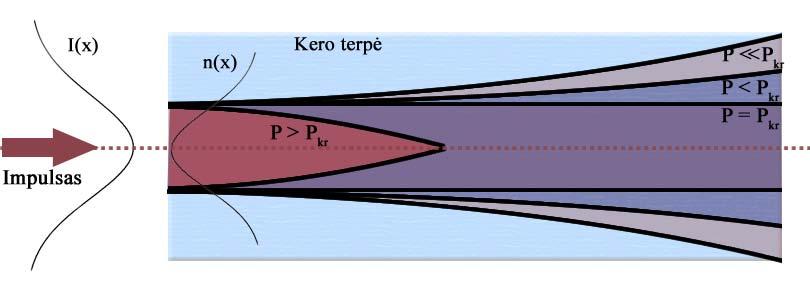 I SKYRIUS. Ultratrumpųjų impulsų sąveika su skaidriomis terpėmis 1.1 pav. Fokusavimosi reiškinys Kero terpėje su teigiamu netiesiniu lūžio rodikliu.