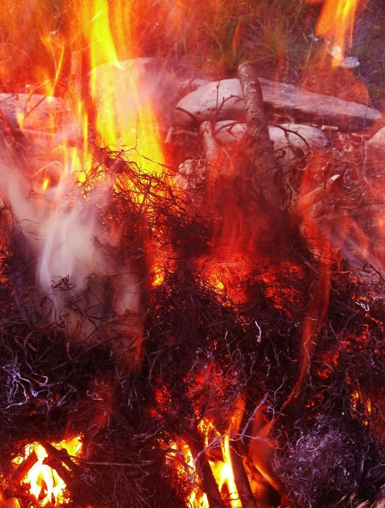 Sulinys Nr M Gruodis Merkinės Vinco Krėvės Gimnazija Jolitos Smitaitės I G Kl Nuotrauka Pdf Free Download