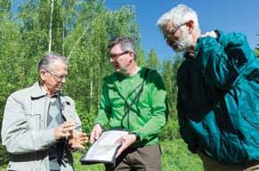 Apžiūrimas jaunuolynų ugdymas Viešnagė Suomijos privačiuose miškuose Prof. ANDRIUS KULIEŠIS Europos ir pasaulio miškų apskaitos ekspertų pasitarimo (2017 m. birželio 12-16 d.