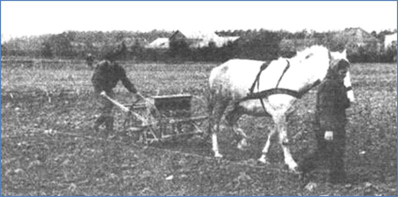 Agrotechninių tyrimų pradžia - Dotnuvos bandymų laukas (stotis) 1923 m. prie Žemės ūkio technikumo ėmė veikti Dotnuvos bandymų laukas (stotis).