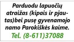 Pasaulio žavesys 04:25 Džesika Flečer 3 06:15 Teleparduotuvė 06:30 Ančiukų istorijos 07:00 Nenugalimasis žmogus - voras 07:30 Bailus voveriukas 08:00 Ančiukų istorijos 08:30 Kur giria žaliuoja 09:00