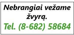 8 613 33 744. Tel. 8 618 25 497. Priimsiu į darbą mechanizatorių. Darbas Sėlynėje. Tel. 8 614 69 505.