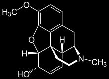 18 Paracetamolio metabolizmas priklauso nuo amžiaus ir suvartotos vaisto dozės. Jis beveik visas metabolizuojamas kepenyse ir tik 2 5% nepakitusio vaisto pasišalina su šlapimu.