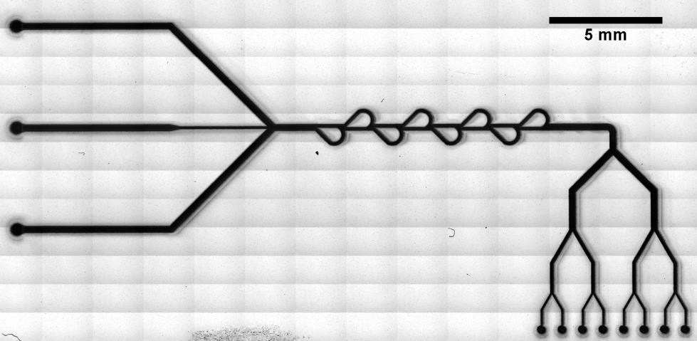 Kalibracinė liniuotė sudaryta iš žinomų linijinių matmenų lazerio pažeidimo sričių. Šių sričių matmenys mikronų eilės.