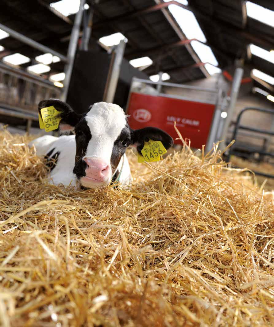 Tausojančio ūkininkavimo aspektai darosi vis svarbesni ir pienininkystei. Gyvulio sveikata bei gyvulio gerovė tampa vis svarbesniais dalykais.