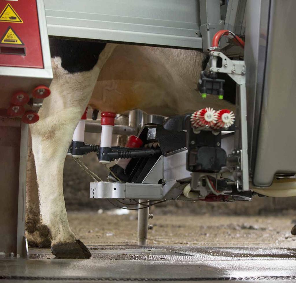 Lely Astronaut roboto ranka arčiau karvės DEŠIMT LELY ASTRONAUT ROBOTO RANKOS PRANAŠUMŲ 1. Karvei palankus dizainas. 2. Melžikliai saugiai įtaisyti rankoje. 3. Efektyvesnis valymas ir stimuliavimas.