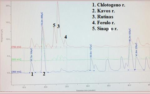 26 pav. ESC-ED chromatograma, esant skirtingoms įtampoms ir identifikuotos fenolinės rūgtys ir flavonoidai.( Pikis iš Urugvajaus. 2008 metų rinkimo).