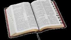 Visas Naujasis Testamentas išverstas į 1521 kalbą, o jo dalys dar į 1121 kalbą. Visa Biblija yra išversta į 670 kalbų (2017 m. spalio mėnesio duomenimis, http://www.wycliffe.net/en/statistics).