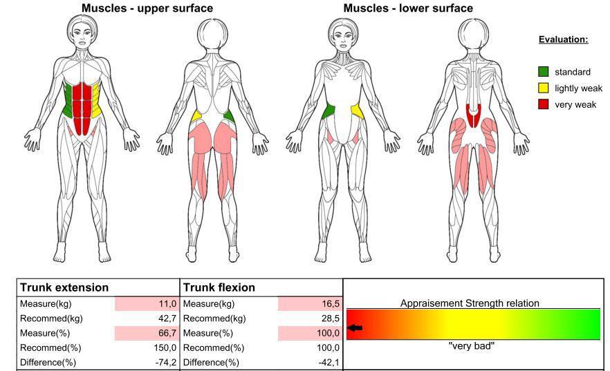 stipriausi, kuriuos reikia lavinti (raudona spalva žymimi silpni raumenys, geltona vidutinio silpnumo, žalia stiprūs raumenys (žr. 3 pav.