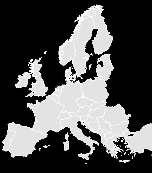 Įmonių grupės rinkos ANTRI namai Suomija, Švedija, Norvegija, Danija 17% PIRMI namai namų rinka Lietuvoje (8%) ir Latvija,