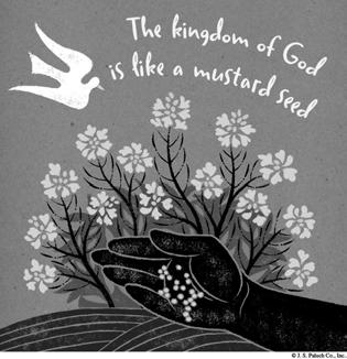 ELEVENTH SUNDAY IN ORDINARY TIME June 17, What the kingdom of God is like What can mustard seeds teach us about the kingdom of God?