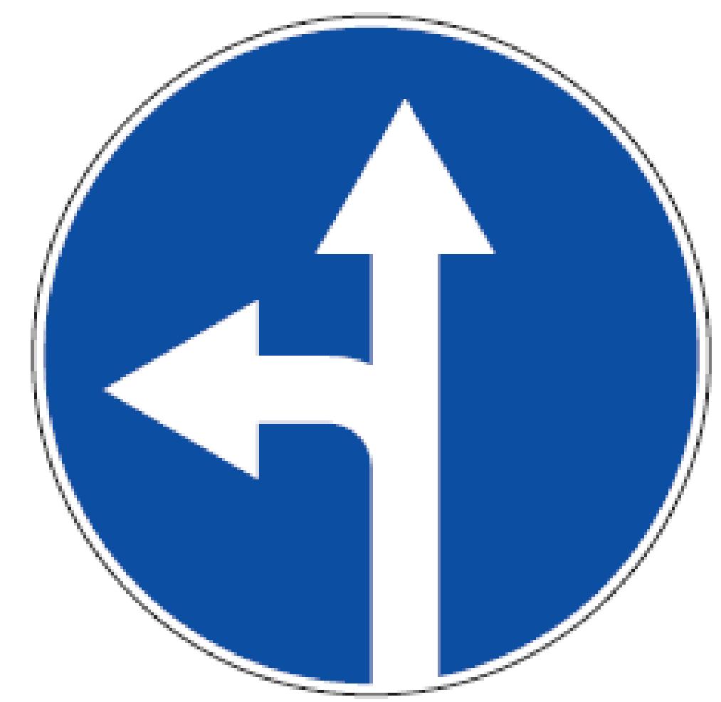 Kelio ženklo reikalavimai netaikomi maršrutiniam transportui Leidžiama važiuoti tik rodyklių kryptimis.