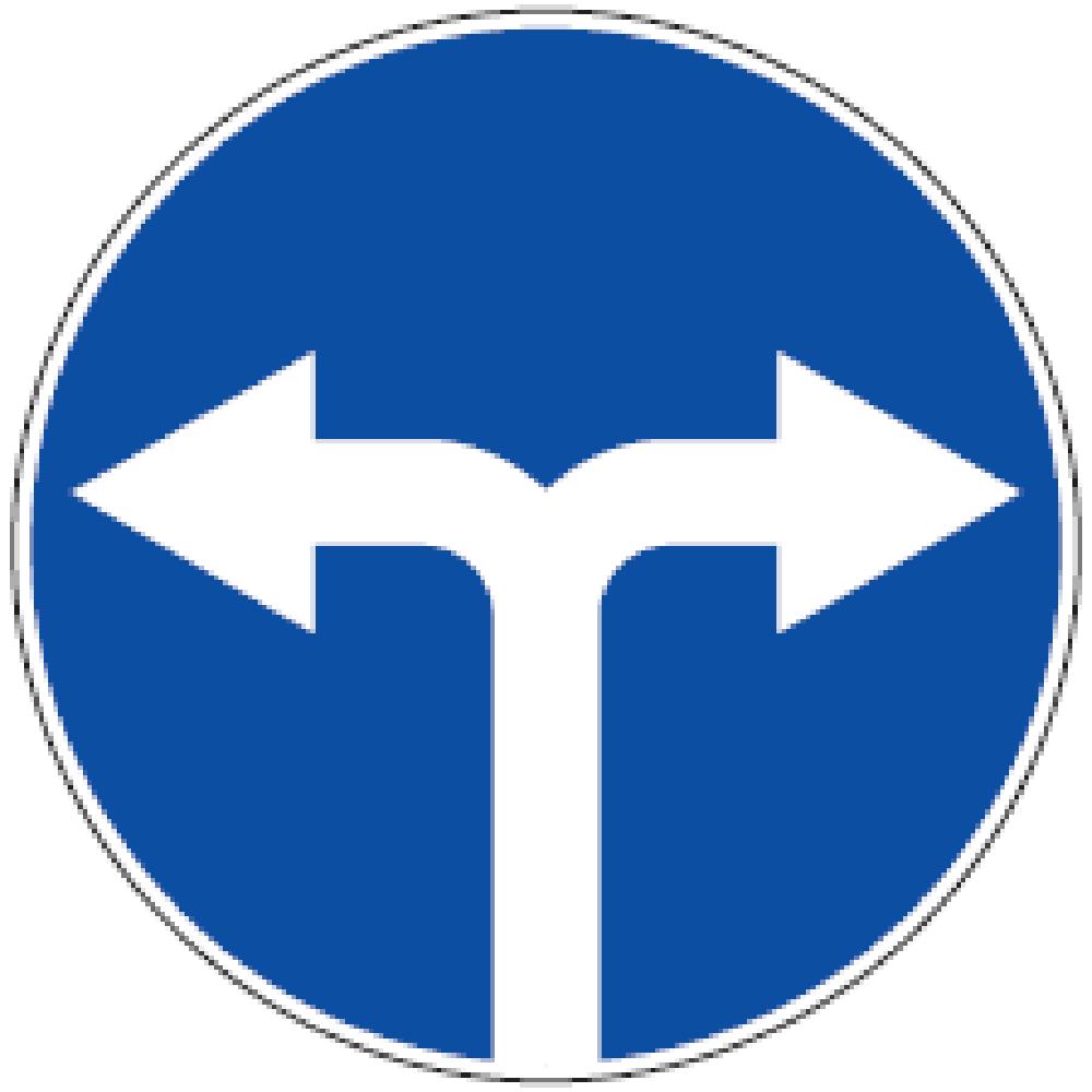 Kelio ženklo reikalavimai netaikomi maršrutiniam transportui Leidžiama važiuoti tik rodyklių kryptimis ir apsisukti.