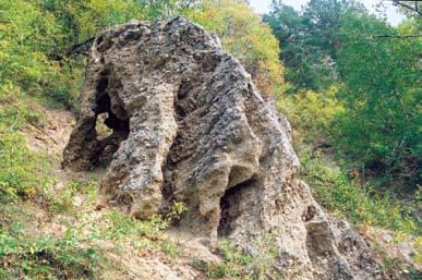 6. and bask in the sun here. As the rock putrefied cavities appeared and now the rock is reminiscent uolą žmonės nuo seno vadino Ožkų pečiumi, of a huge bee comb.