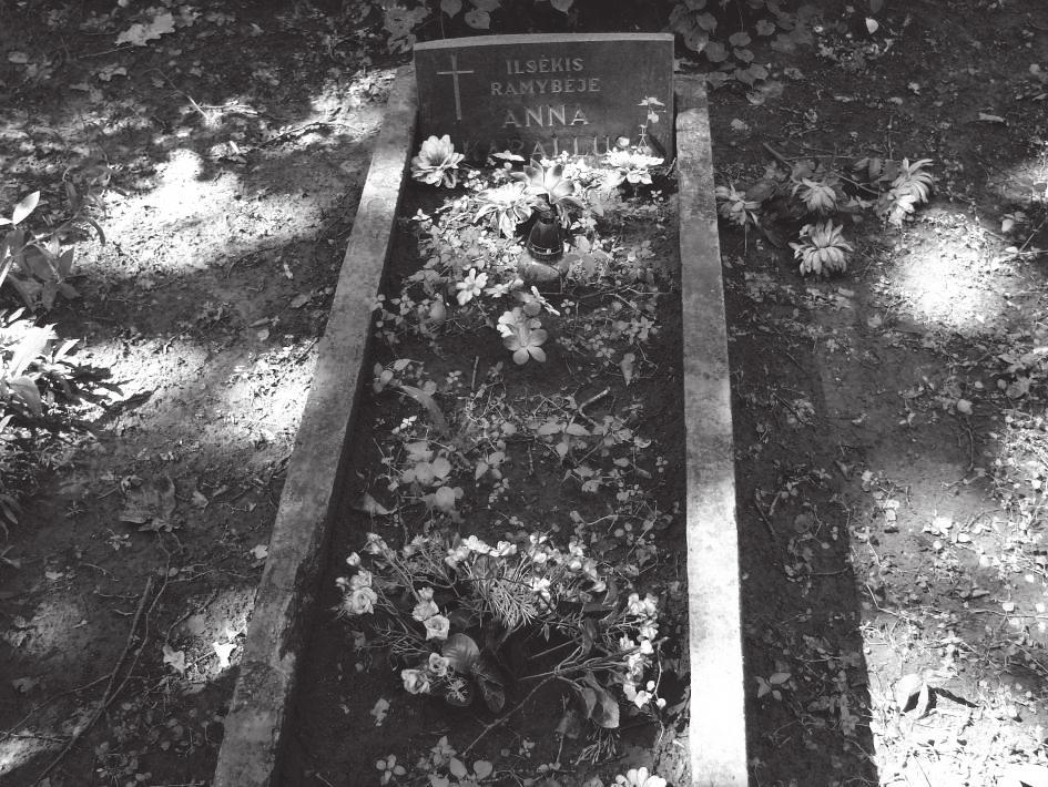 Tiriamoje teritorijoje pasitaikė kapinių, kuriose vienintelis tvarkymo požymis ant kai kurių kapų padėtos dirbtinės gėlės (3 pav.).