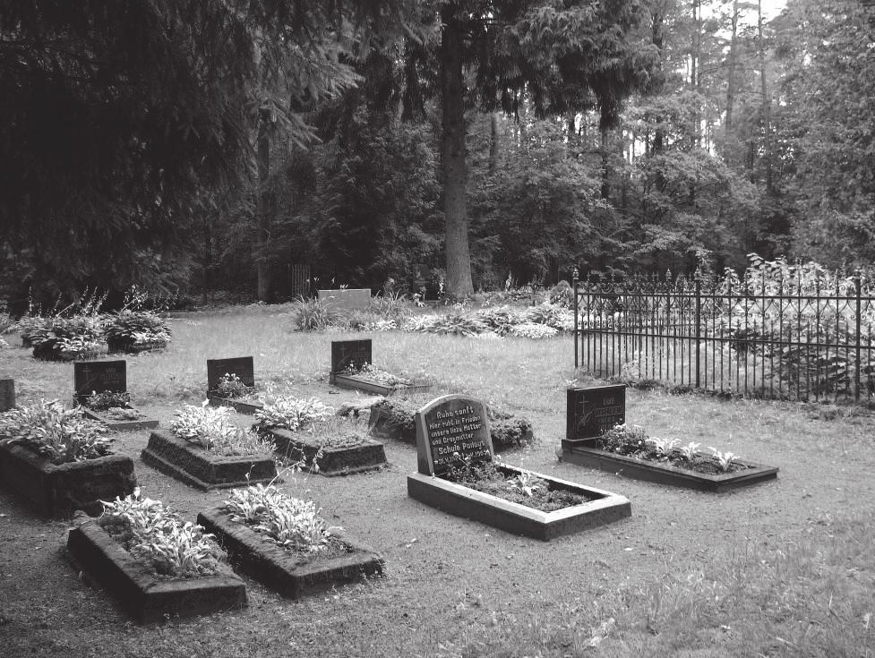 4 pav. Puikiai prižiūrimos Kukorų kapinės. Saugų seniūnija, Šilutės rajonas, 2012 Fig. 4. Well maintained cemetery of Kukorai.
