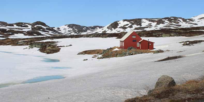 NORVEGIŠKAS PAVASARIS Kalendorinio pavasario pradžia dar nereiškia, kad žiema jau pasitraukė. Norvegai tai gerai žino ir visada pasirengę šalčiams.