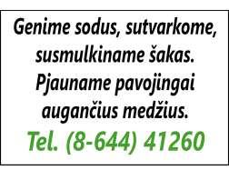 Įvairaus pjovimo statybinę medieną. Tel. 8 699 33 786. Naują siaurapjūklį Skil. Yra pjūkleliai. Kaina 60 Eur. Tel. 8 686 20 474. Šiltnamio lankus. Balti, 8 vnt., 5,5 m ilgio.